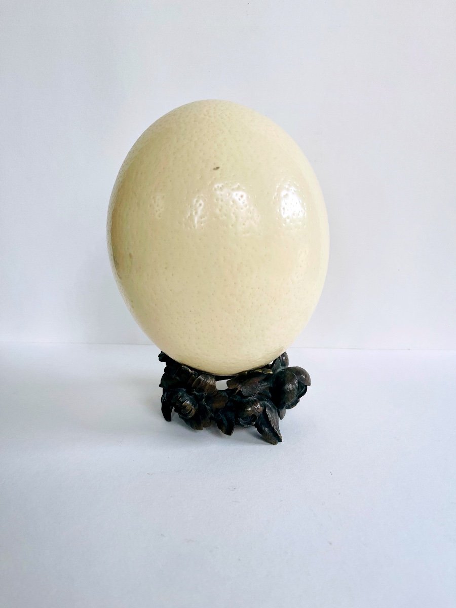 Ostrich Egg